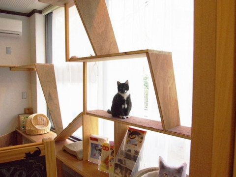 保護猫カフェ併設のゲストハウスをDIY施工