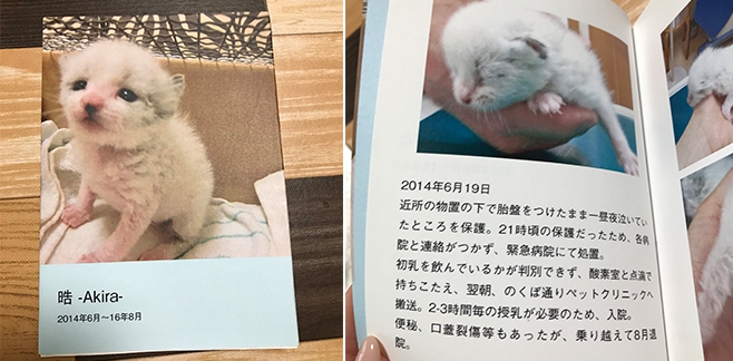 I氏お手製のアキラくんの本。お世話になった獣医の先生に差し上げたそう。
