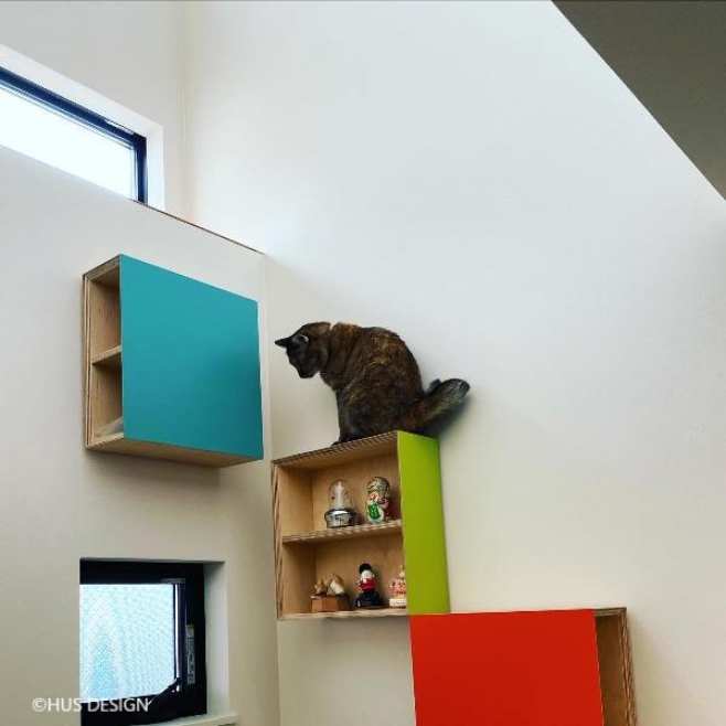 cat walk shelf